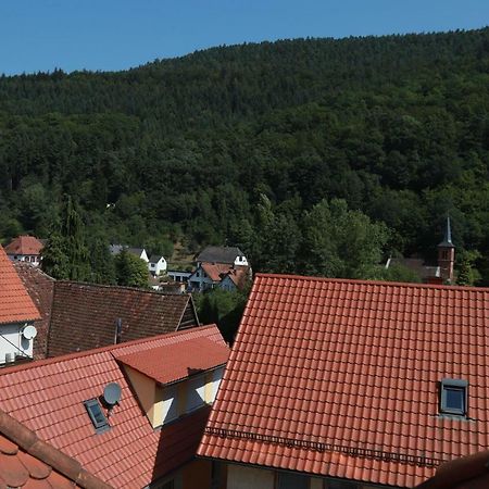 Ferienwohnungen Ries Eusserthal 外观 照片
