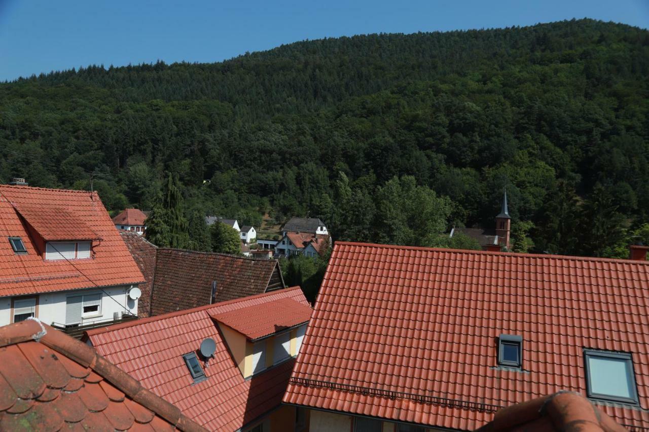 Ferienwohnungen Ries Eusserthal 外观 照片